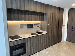 The Reef At King’s Dock (D4), Condominium #456193821